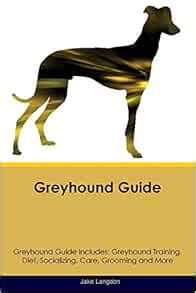 Greyhound Guide .